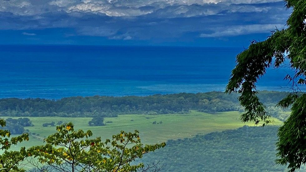 1 bed Single Family Homes For Sale in Matapalo, Puntarenas - thumb 29