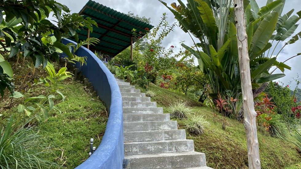 1 bed Single Family Homes For Sale in Matapalo, Puntarenas - thumb 11