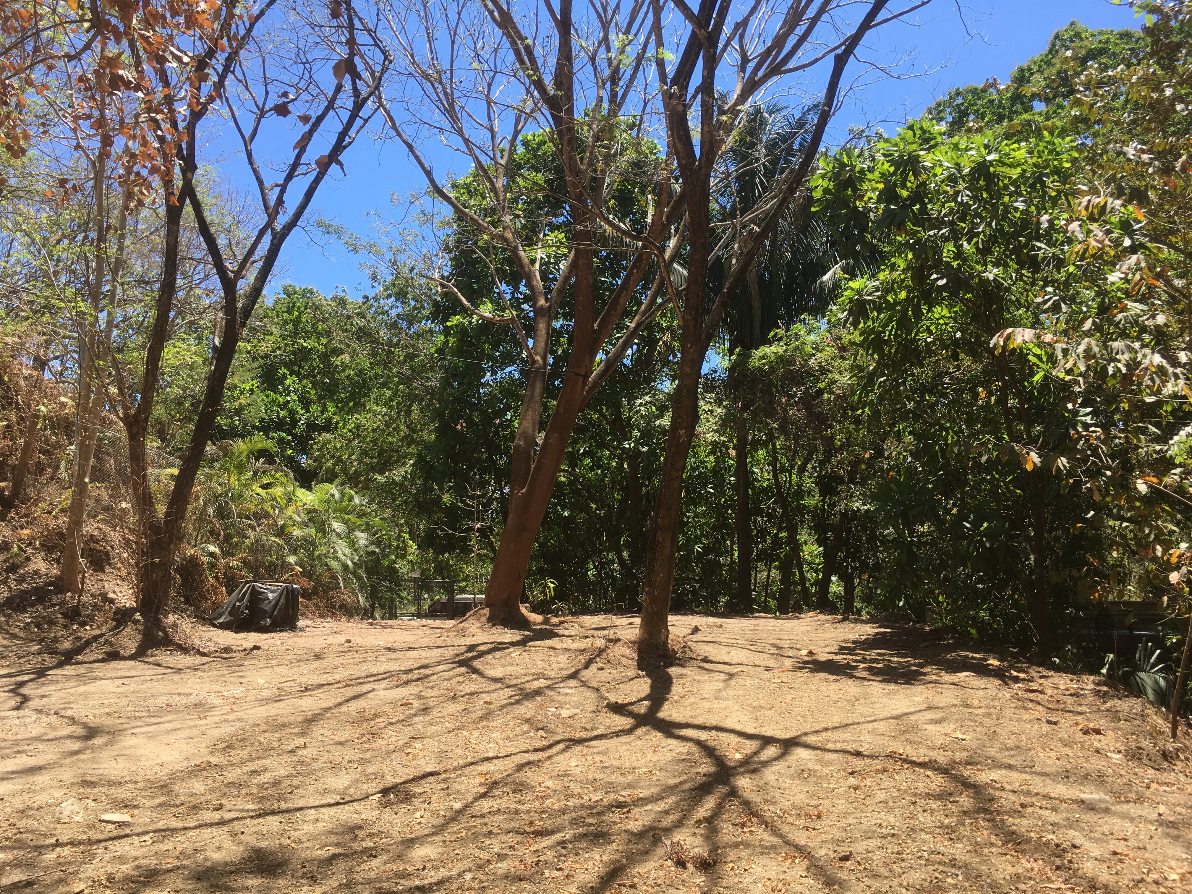 0 bed Land For Sale in Samara, Guanacaste - thumb 1