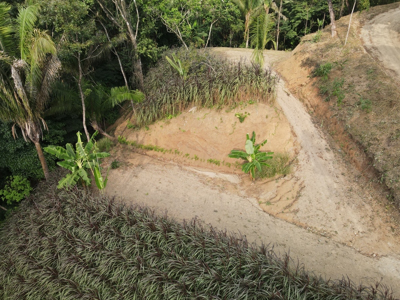 Land For Sale in Samara Costa Rica