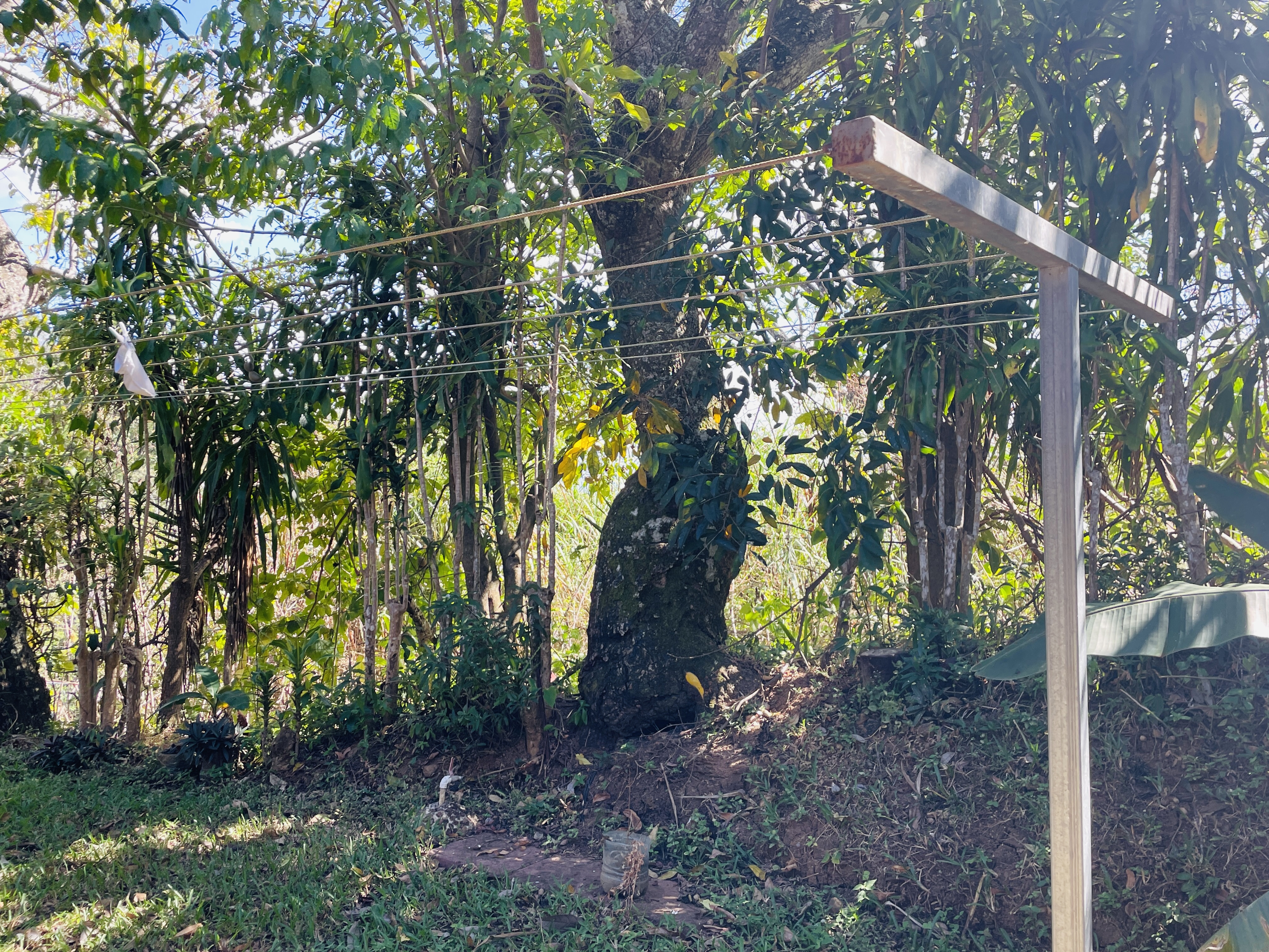 2 bed Single Family Homes For Sale in Atenas, Alajuela - thumb 29