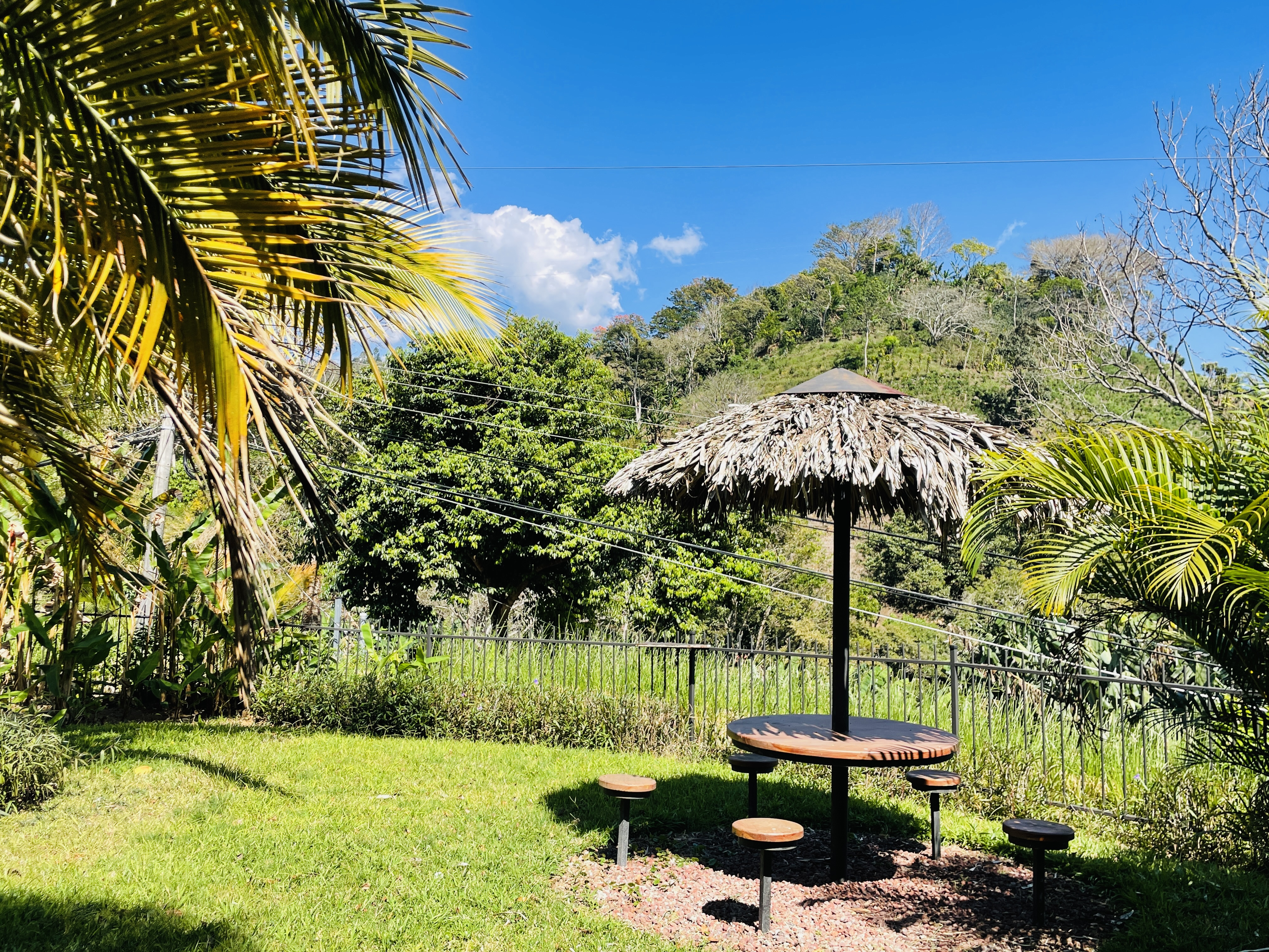 2 bed Single Family Homes For Sale in Atenas, Alajuela - thumb 28