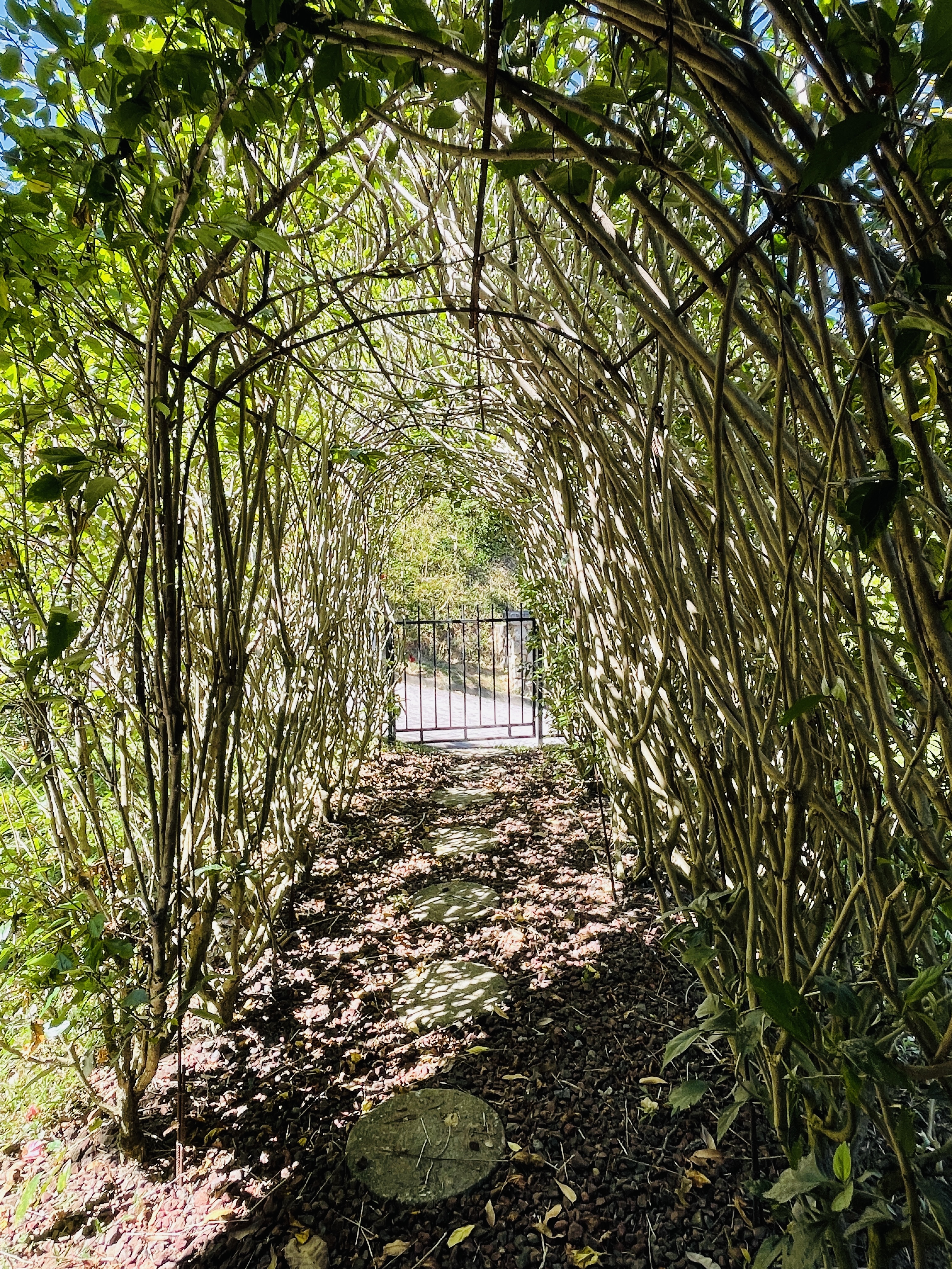 2 bed Single Family Homes For Sale in Atenas, Alajuela - thumb 5