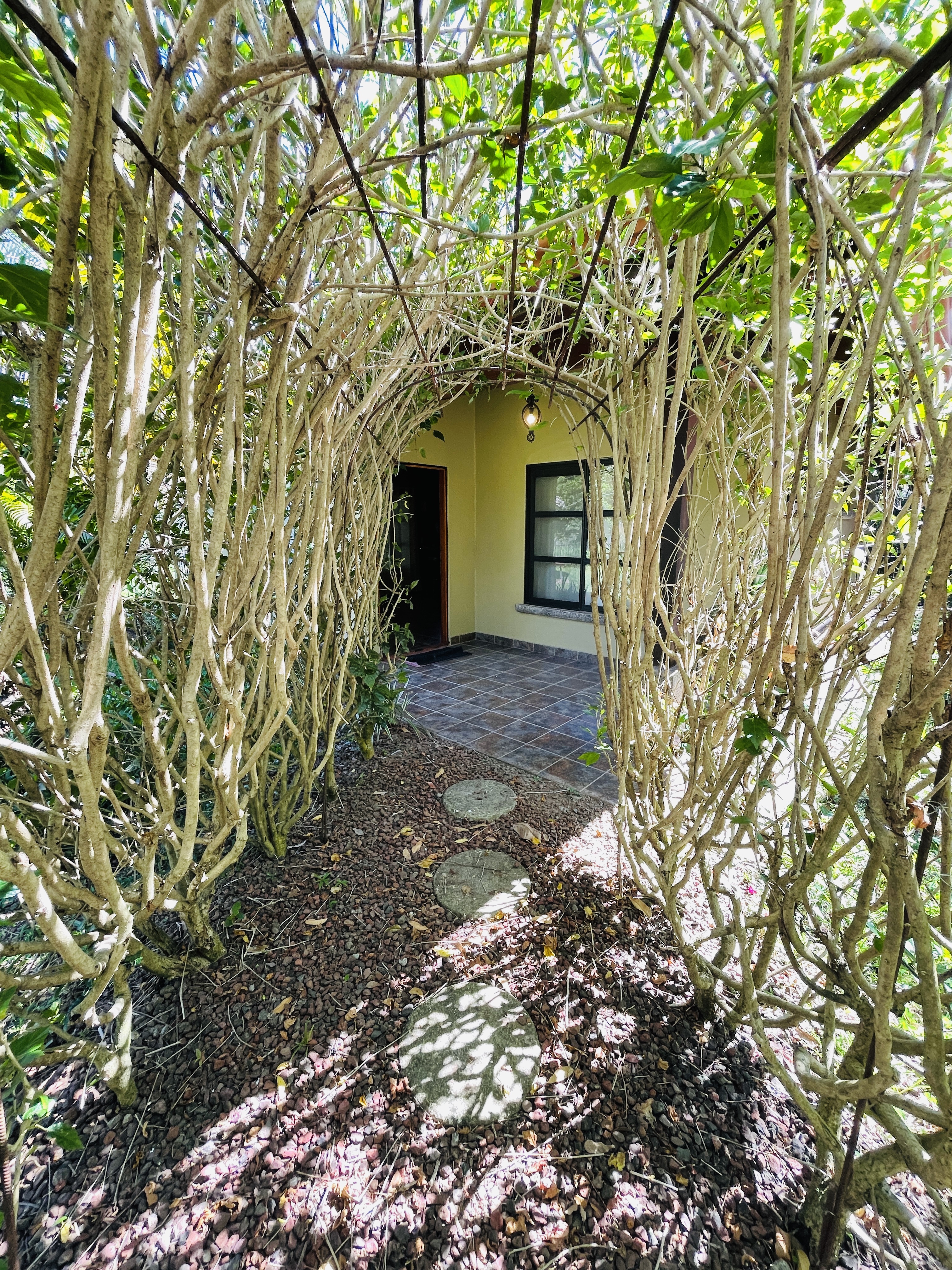 2 bed Single Family Homes For Sale in Atenas, Alajuela - thumb 6