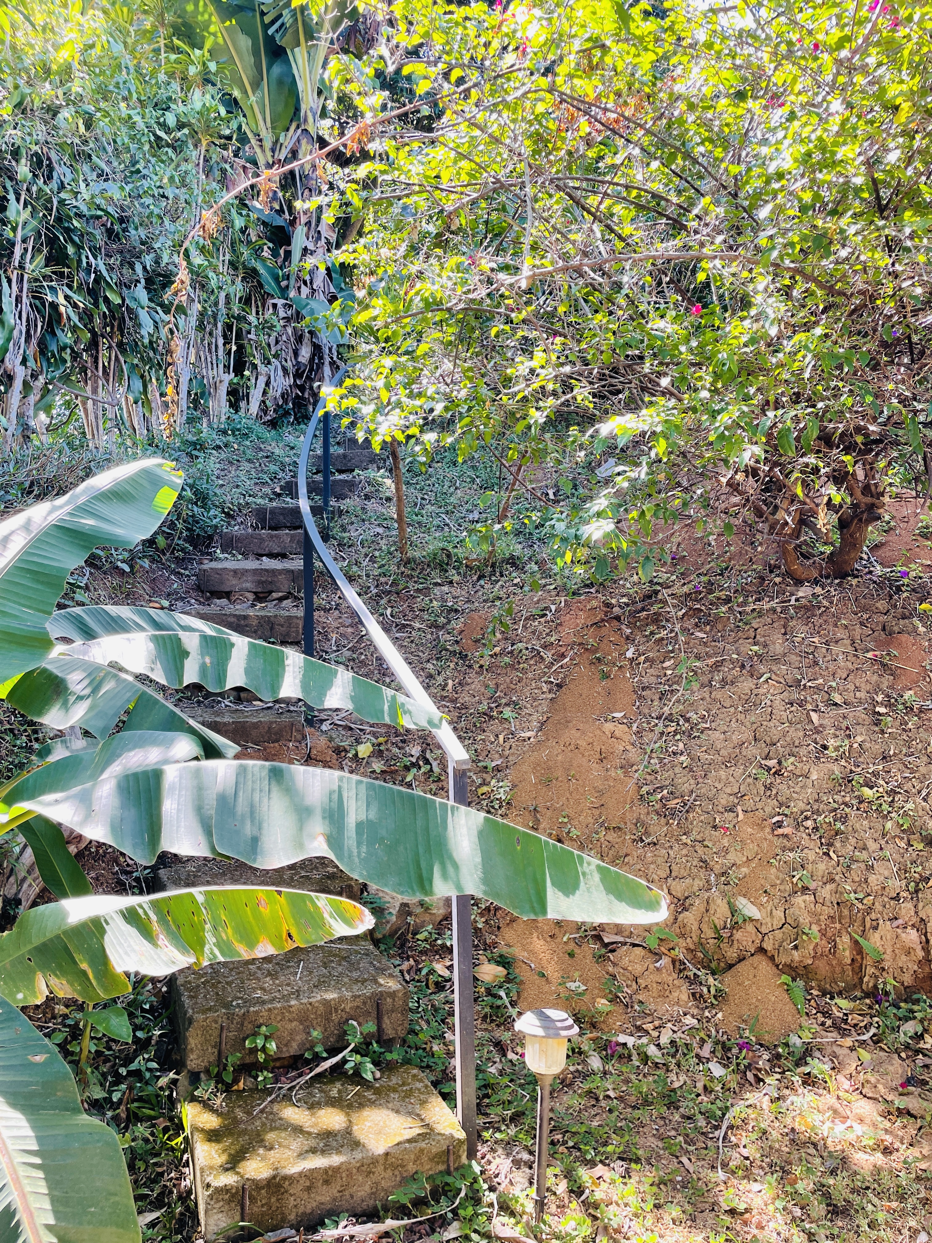 2 bed Single Family Homes For Sale in Atenas, Alajuela - thumb 13