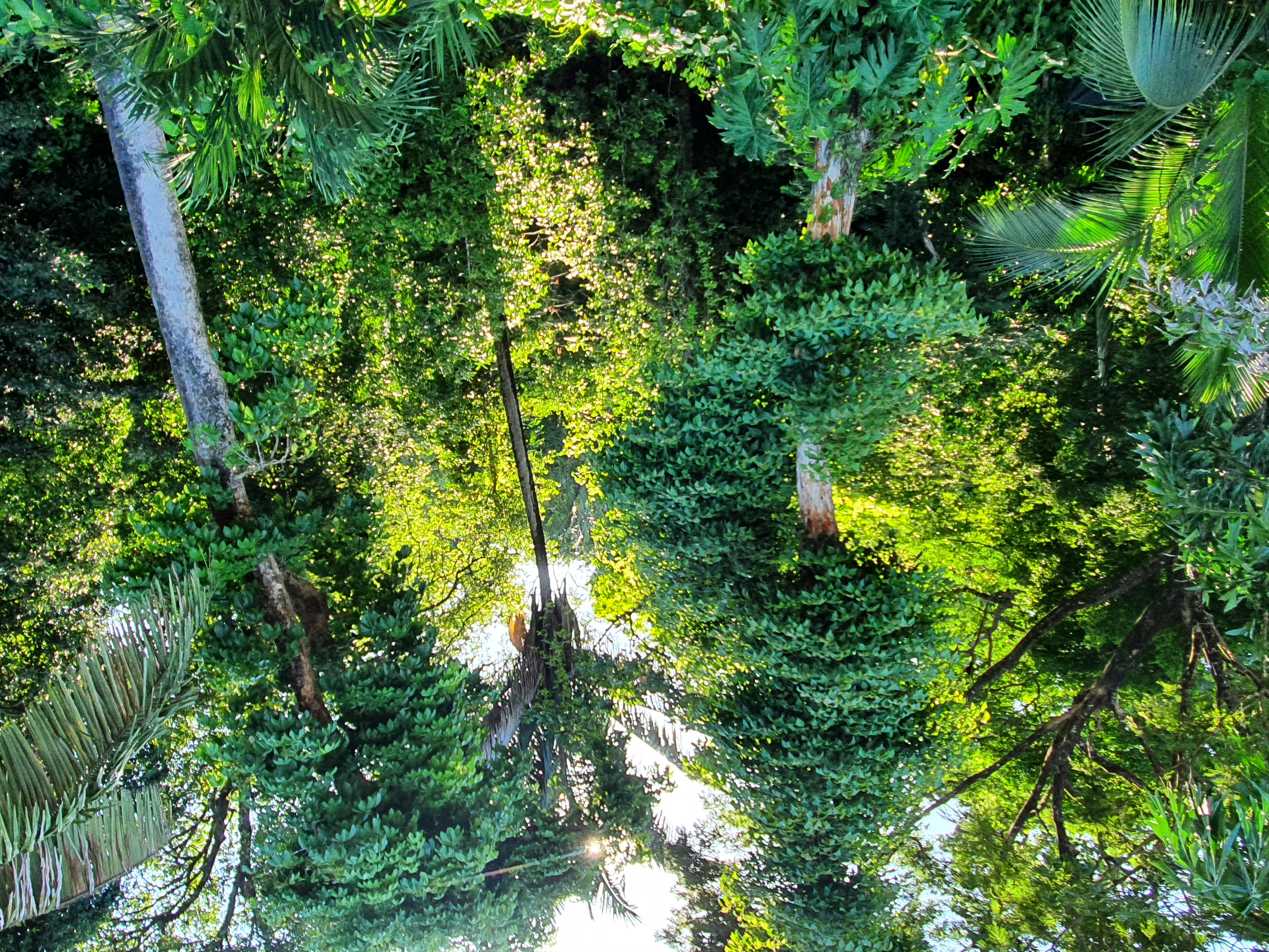 3 bed Single Family Homes For Sale in Samara, Guanacaste - thumb 5