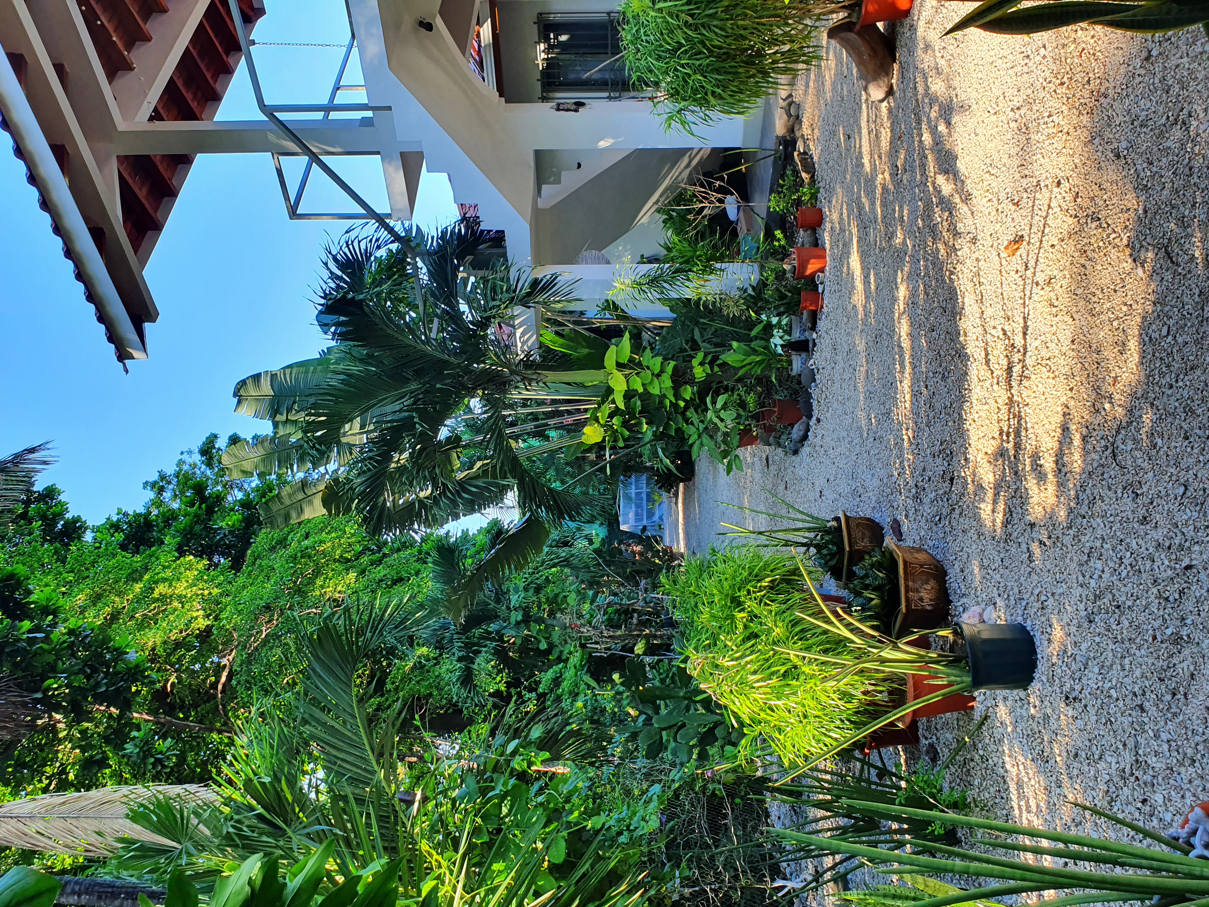 3 bed Single Family Homes For Sale in Samara, Guanacaste - thumb 18