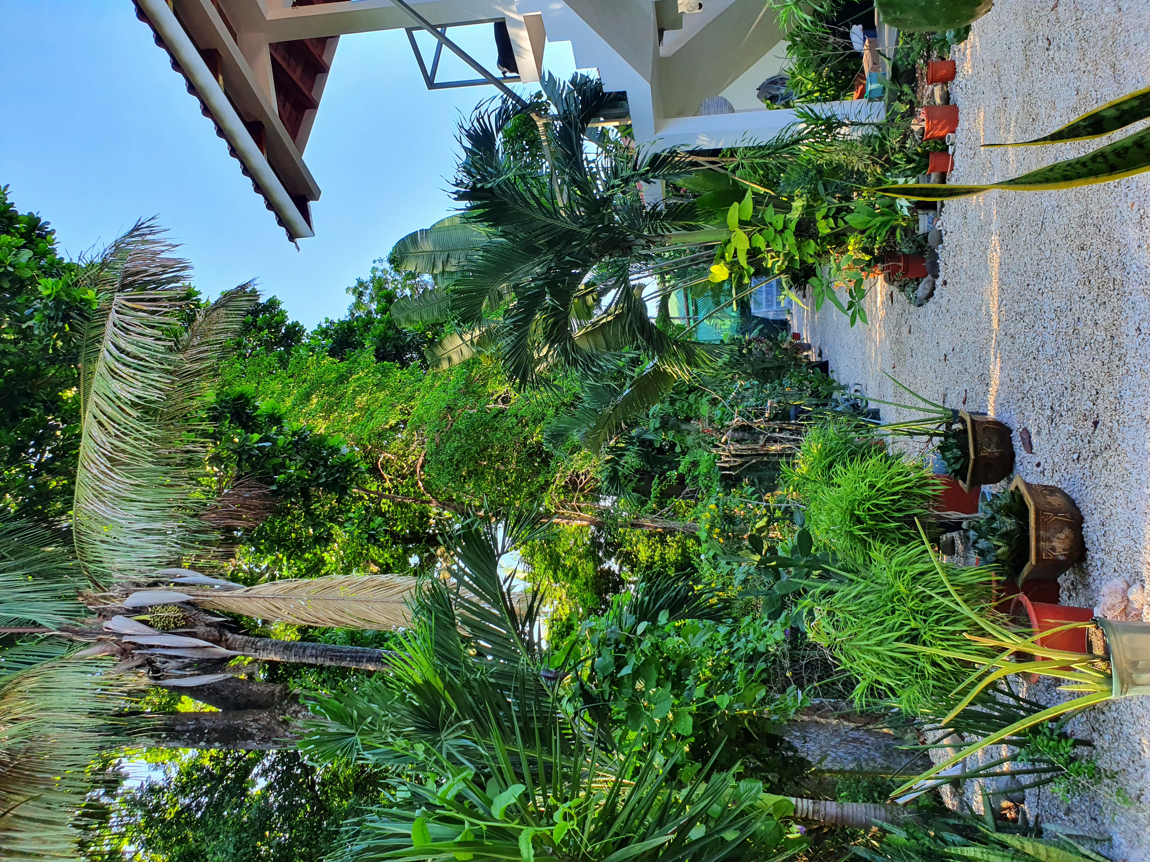 3 bed Single Family Homes For Sale in Samara, Guanacaste - thumb 6