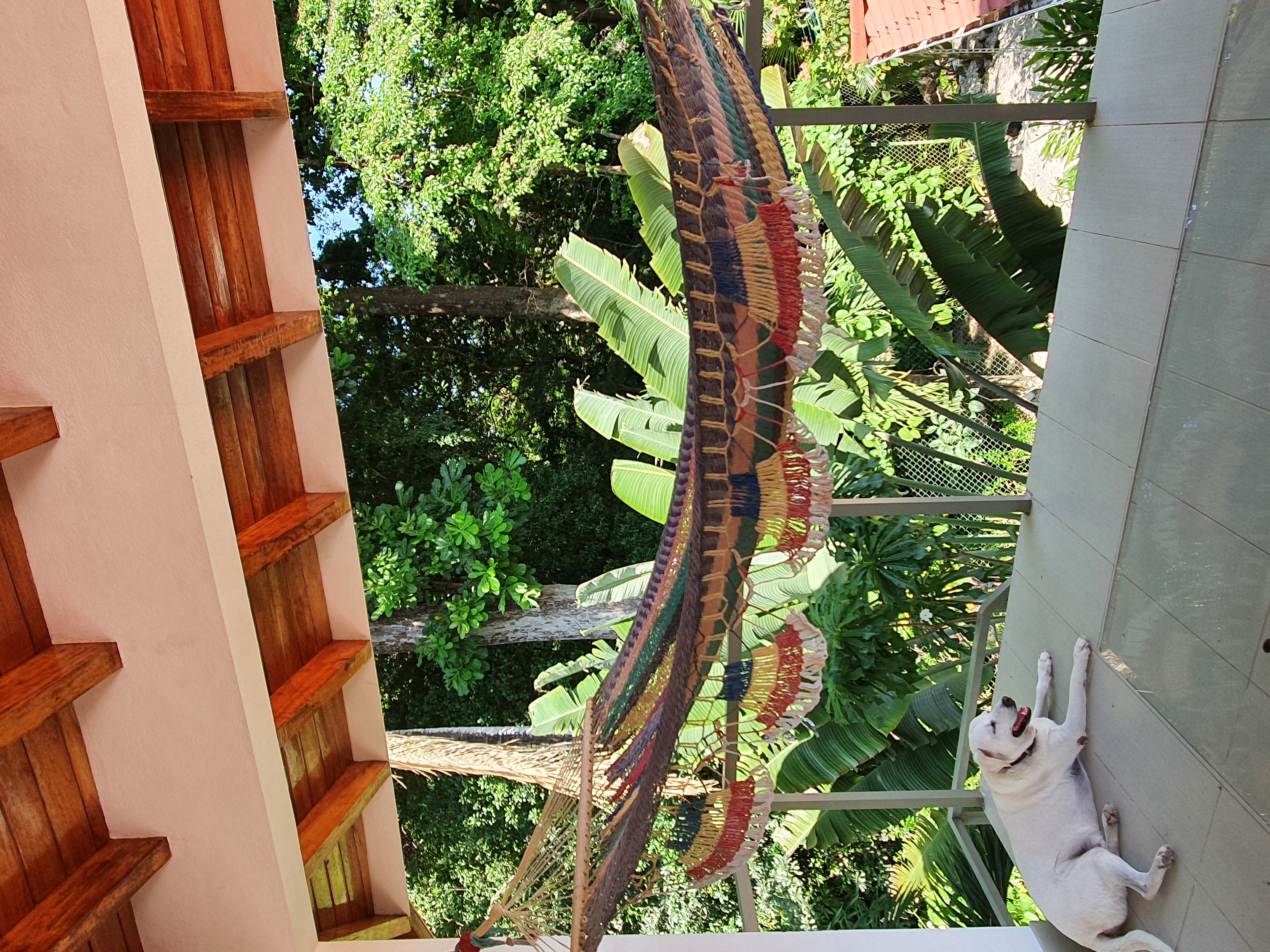 3 bed Single Family Homes For Sale in Samara, Guanacaste - thumb 15