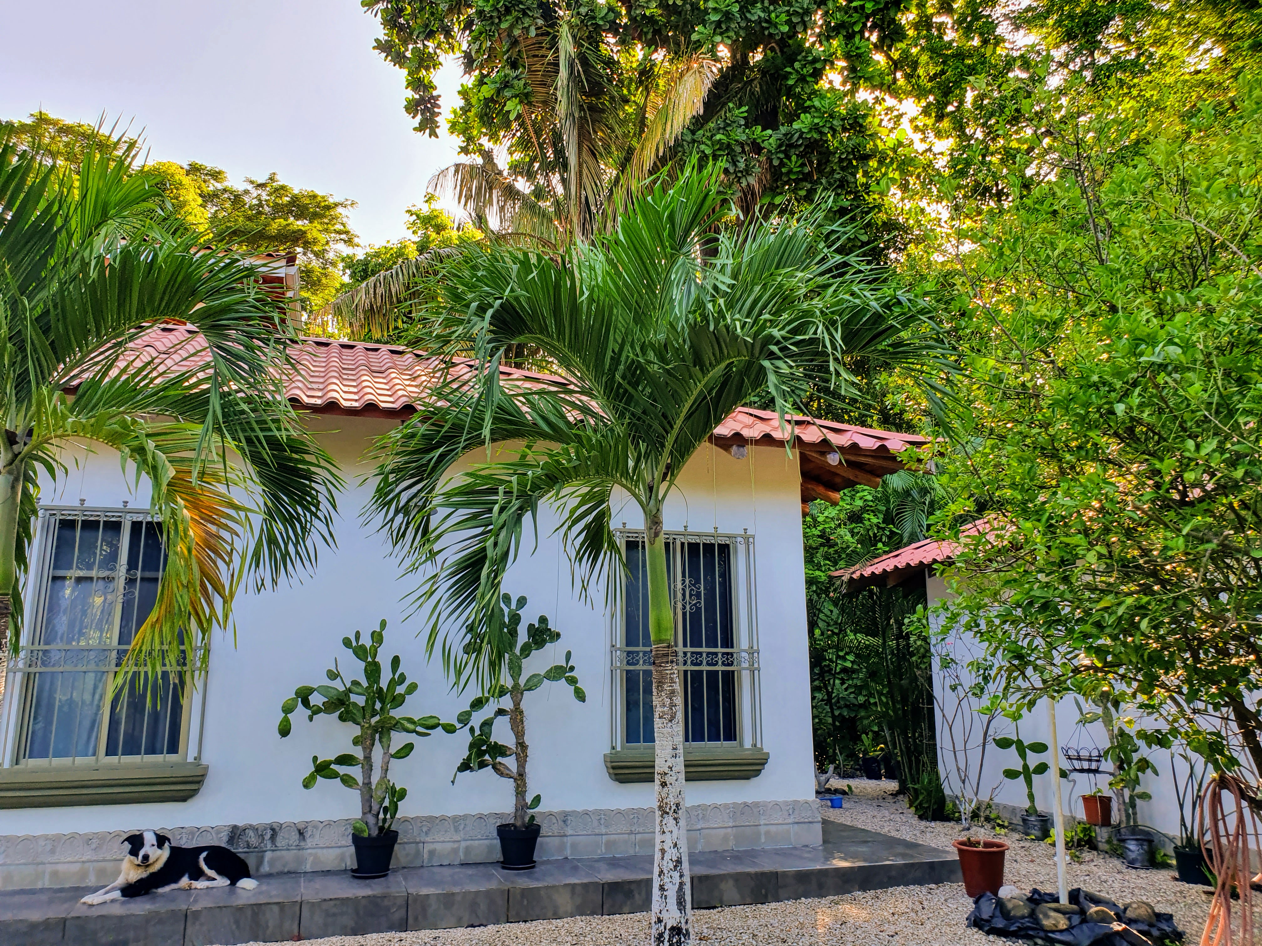 3 bed Single Family Homes For Sale in Samara, Guanacaste - thumb 2