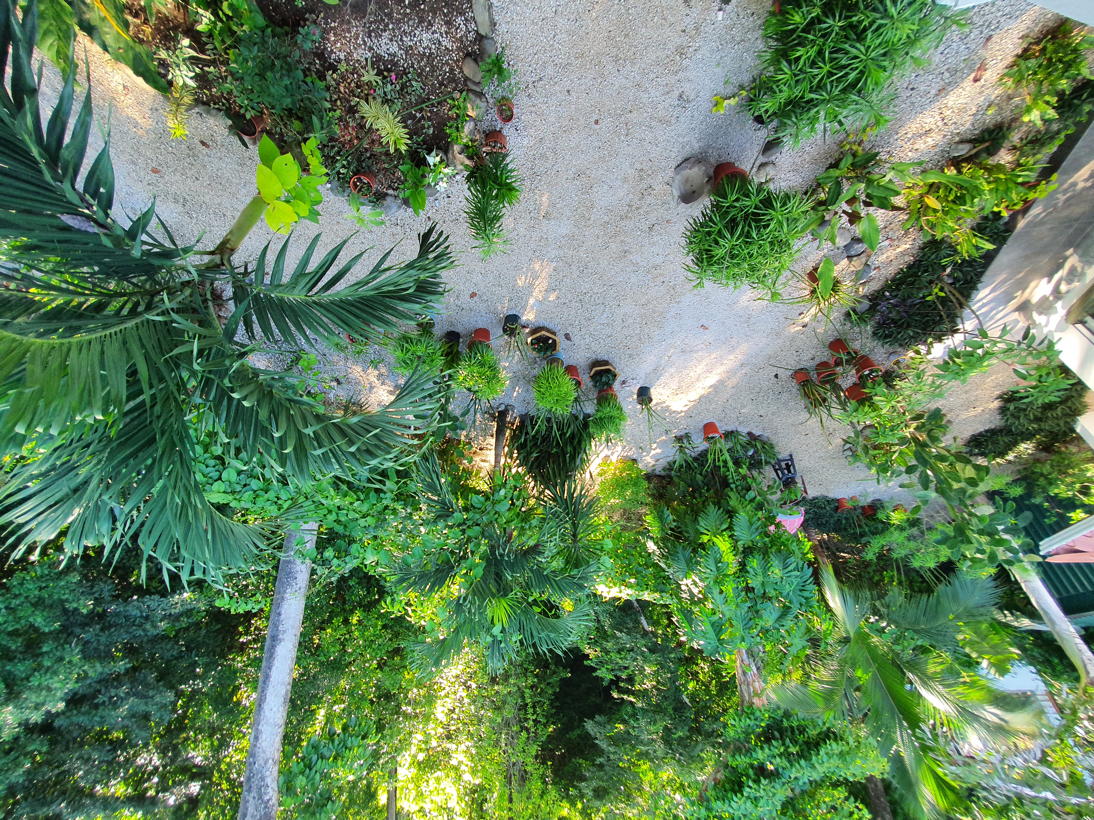 3 bed Single Family Homes For Sale in Samara, Guanacaste - thumb 7