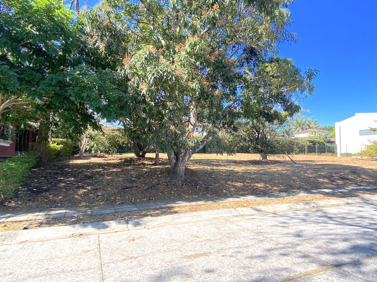 0 bed Land For Sale in Santa Ana, San Jose - thumb 9
