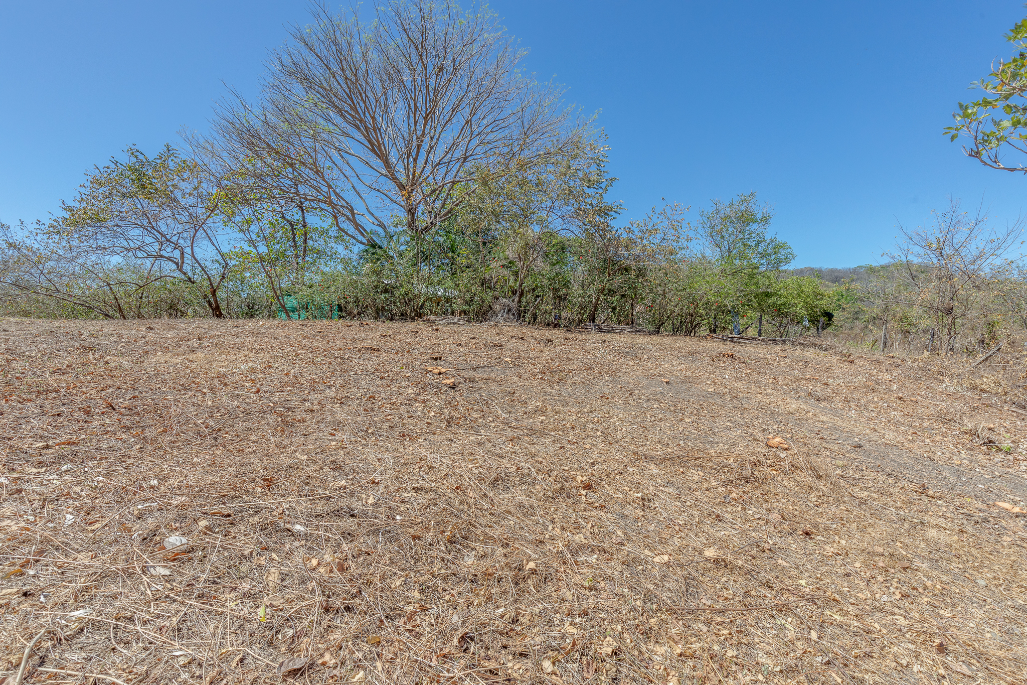 0 bed Land For Sale in Garza, Guanacaste - thumb 7