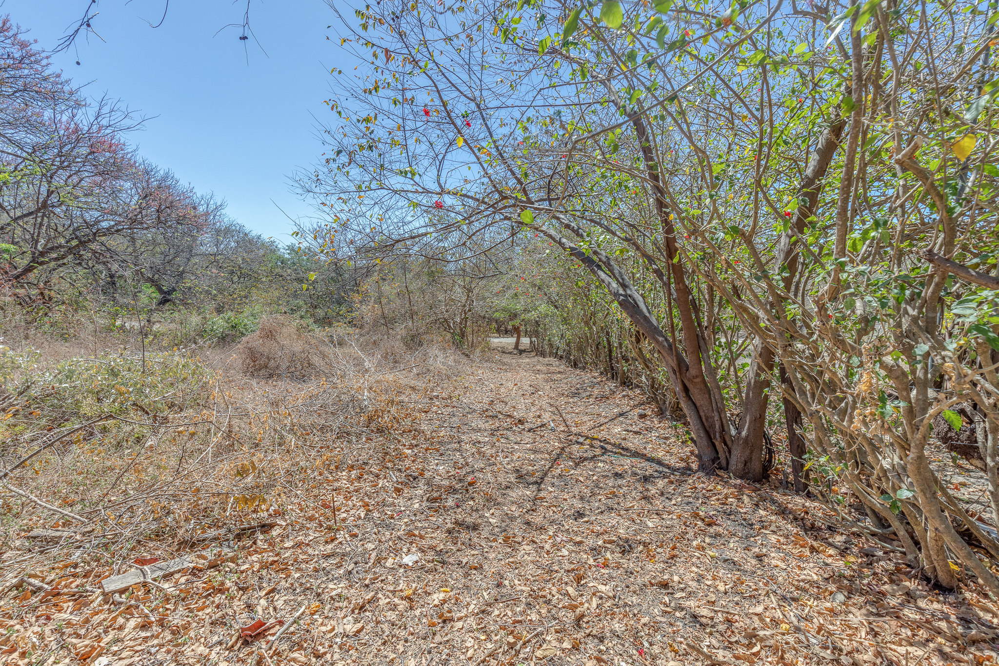 0 bed Land For Sale in Garza, Guanacaste - thumb 10