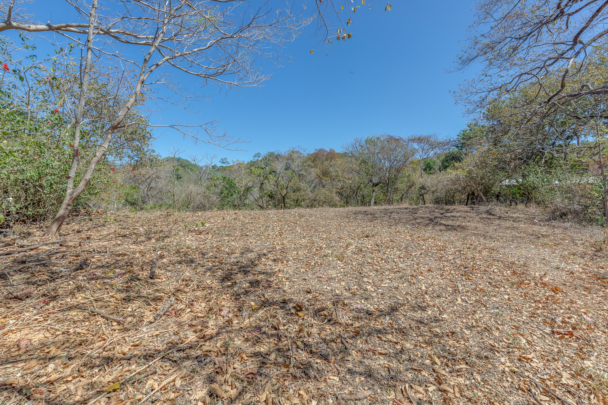 0 bed Land For Sale in Garza, Guanacaste - thumb 9