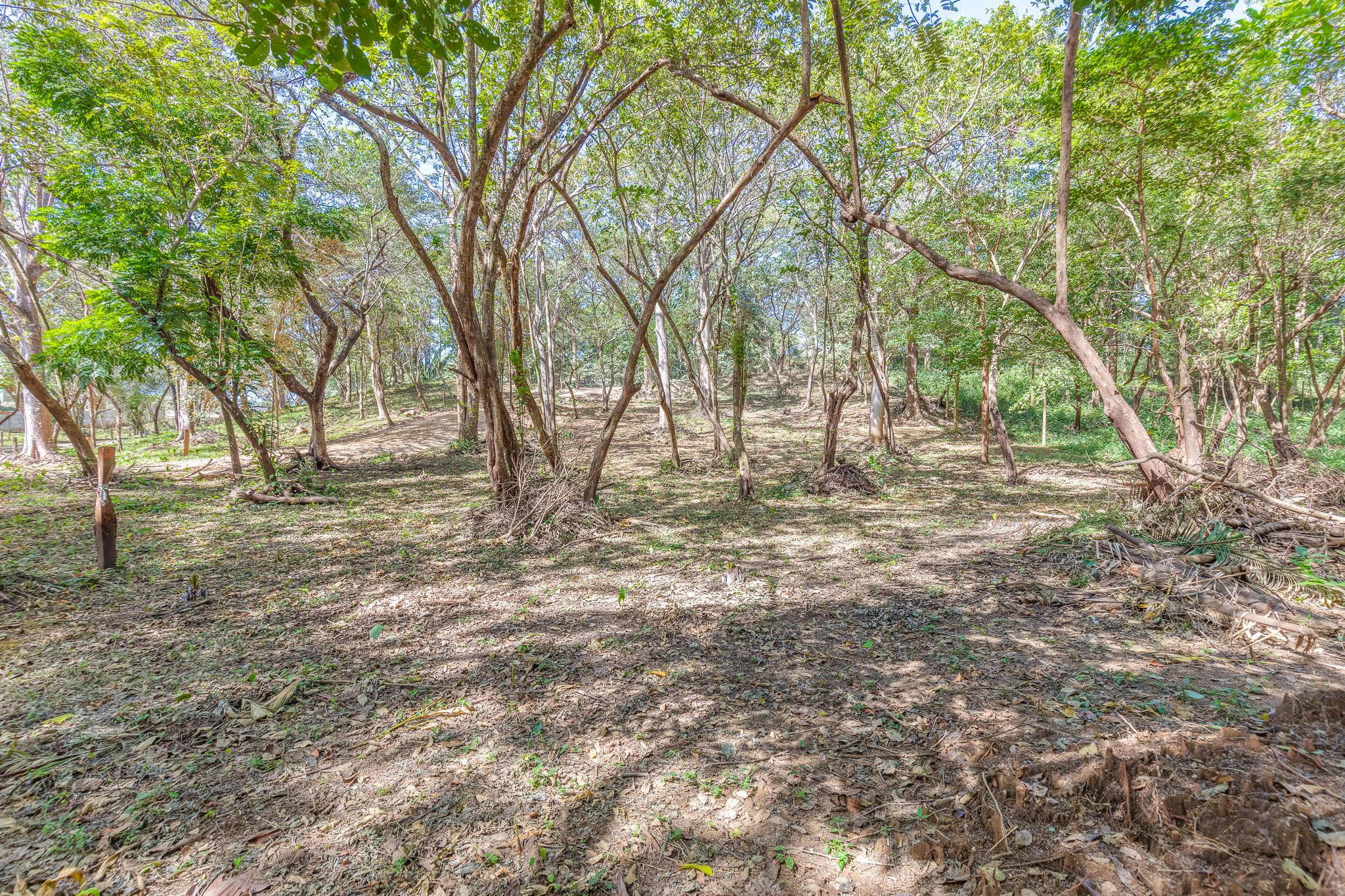 0 bed Land For Sale in Nosara, Guanacaste - thumb 6