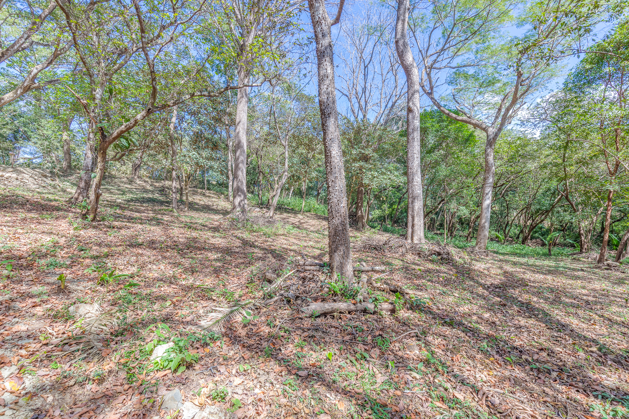 0 bed Land For Sale in Nosara, Guanacaste - thumb 9
