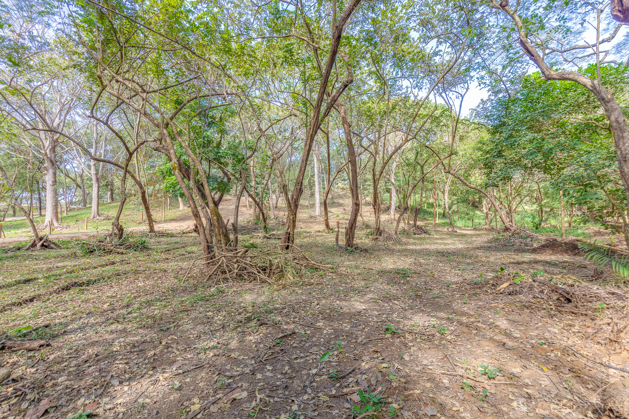 0 bed Land For Sale in Nosara, Guanacaste - thumb 5
