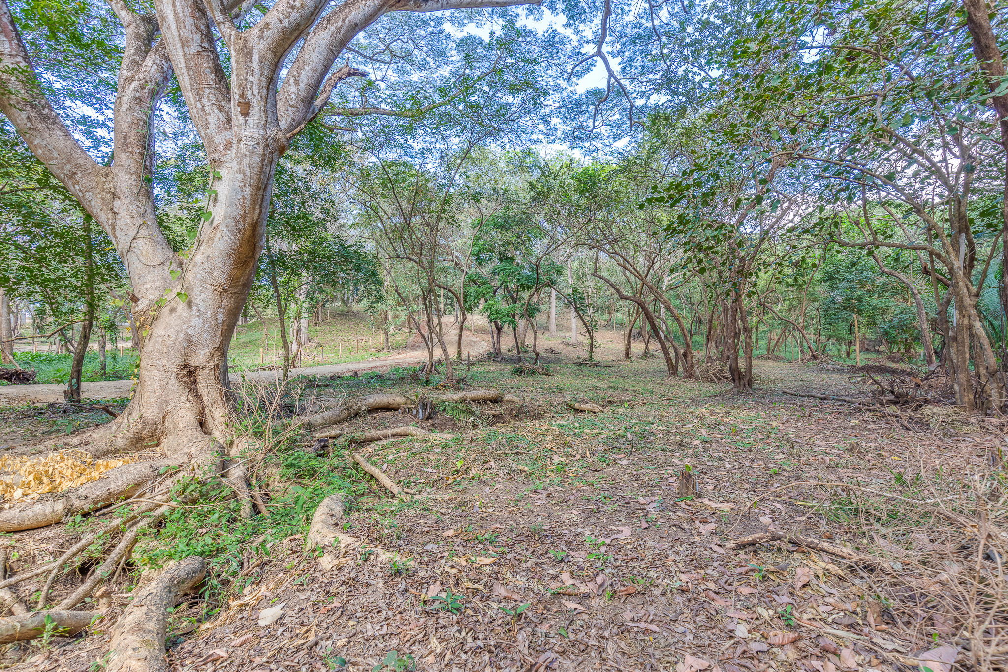 0 bed Land For Sale in Nosara, Guanacaste - thumb 1