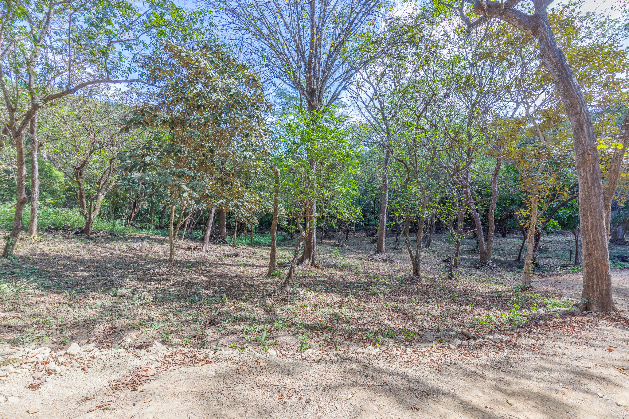 0 bed Land For Sale in Nosara, Guanacaste - thumb 10