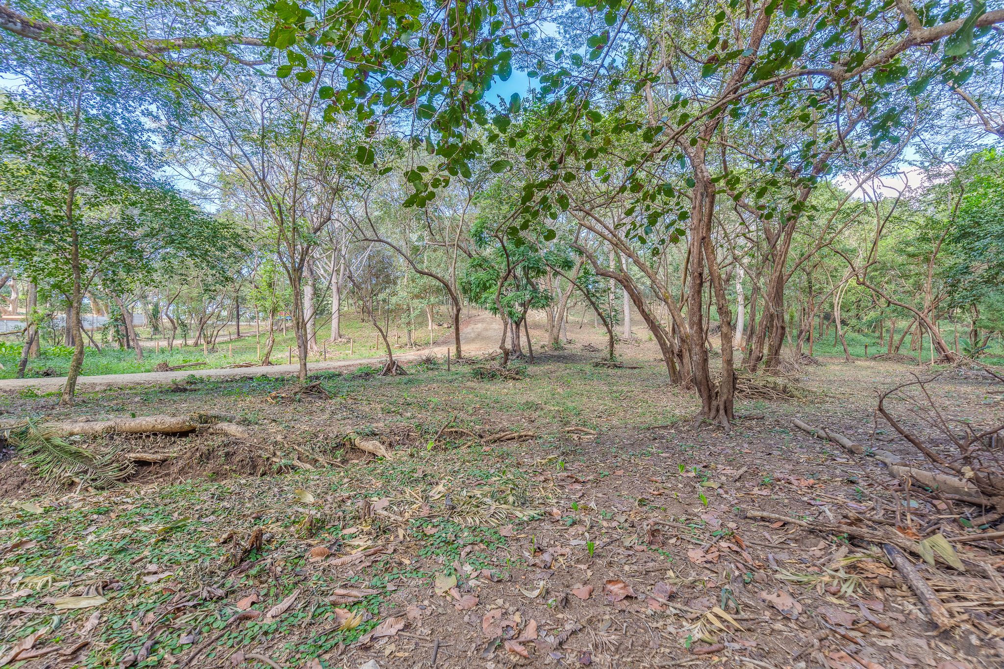 0 bed Land For Sale in Nosara, Guanacaste - thumb 4