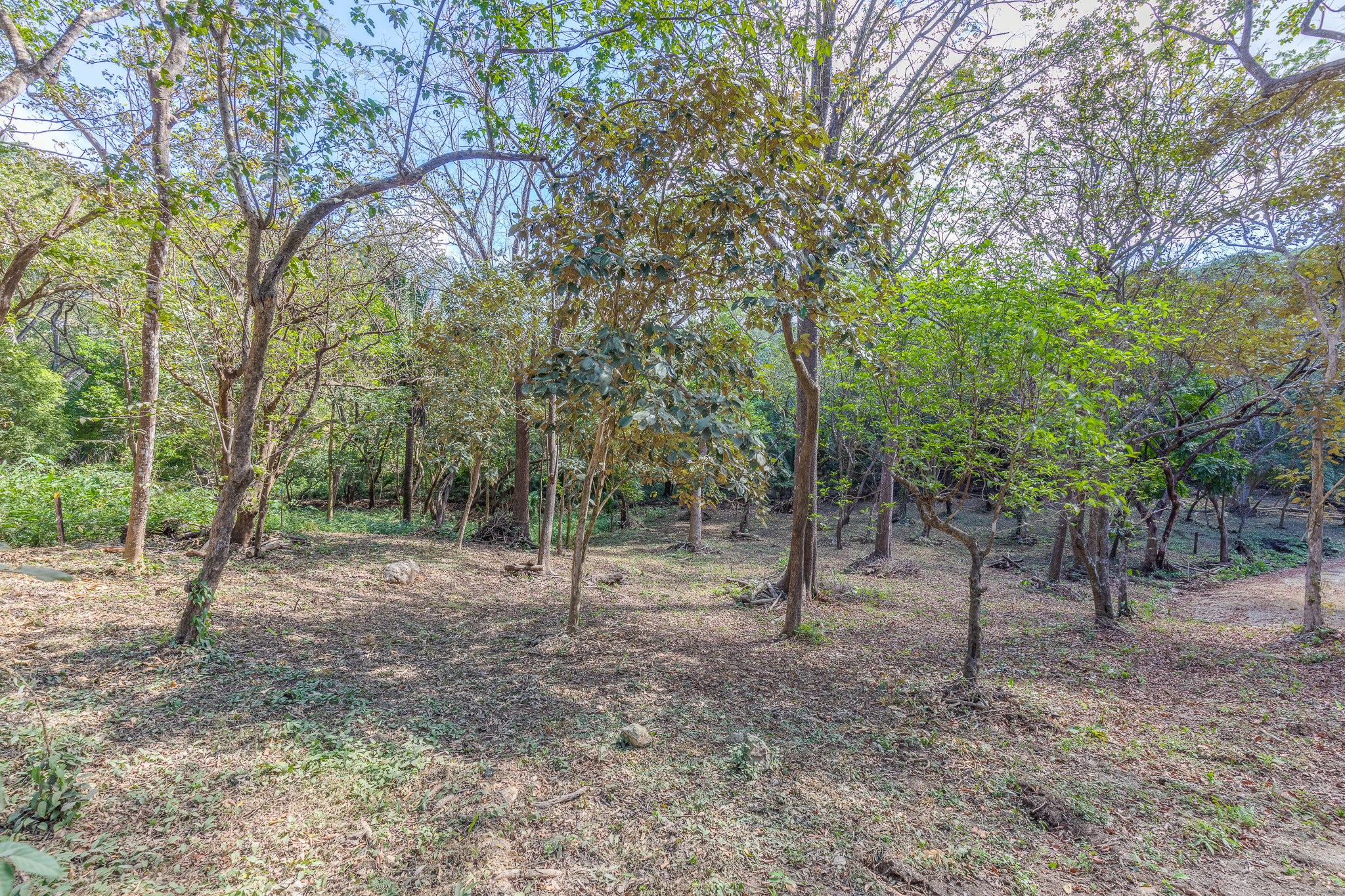 0 bed Land For Sale in Nosara, Guanacaste - thumb 11