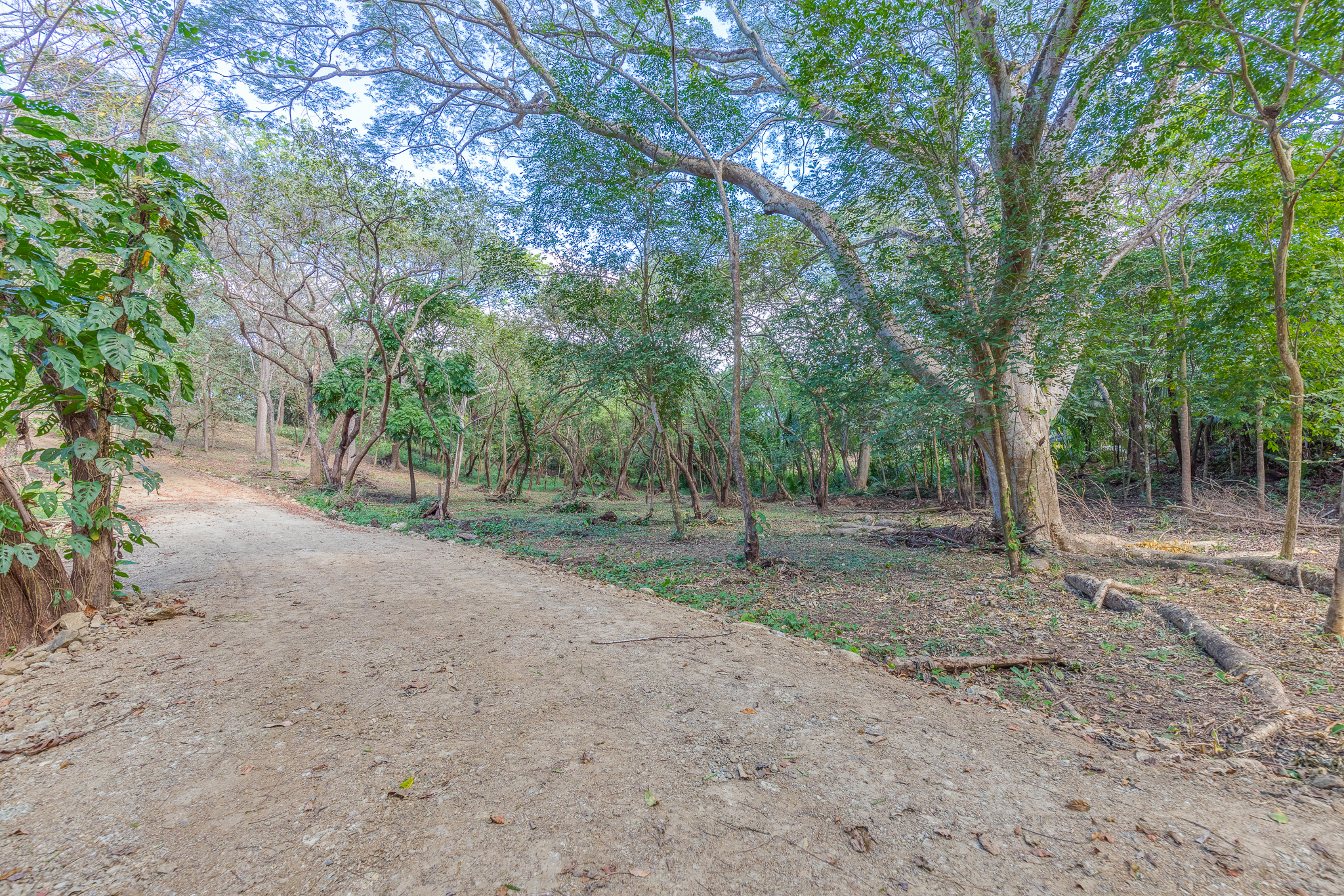 0 bed Land For Sale in Nosara, Guanacaste - thumb 2