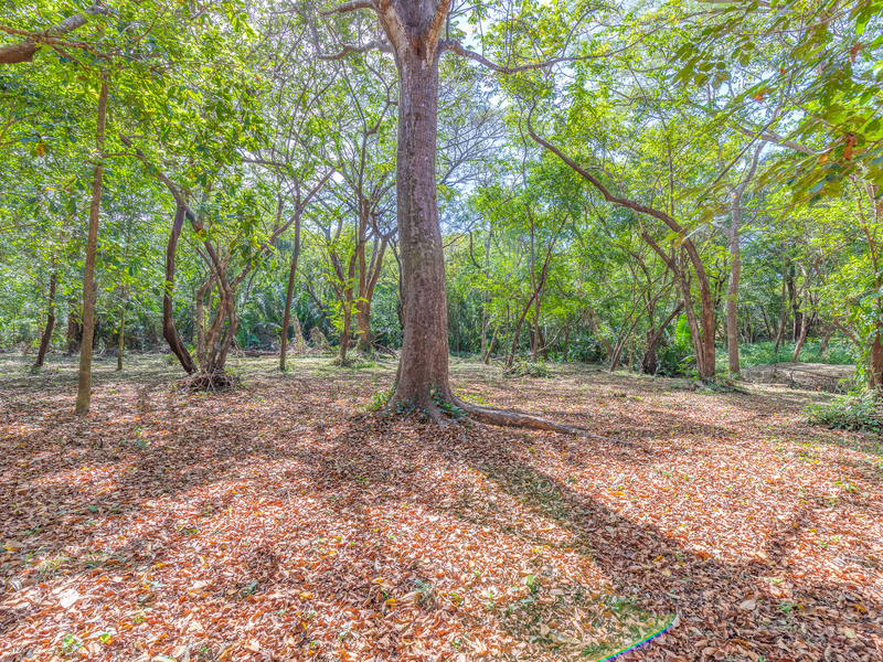 0 bed Land For Sale in Nosara, Guanacaste - 1