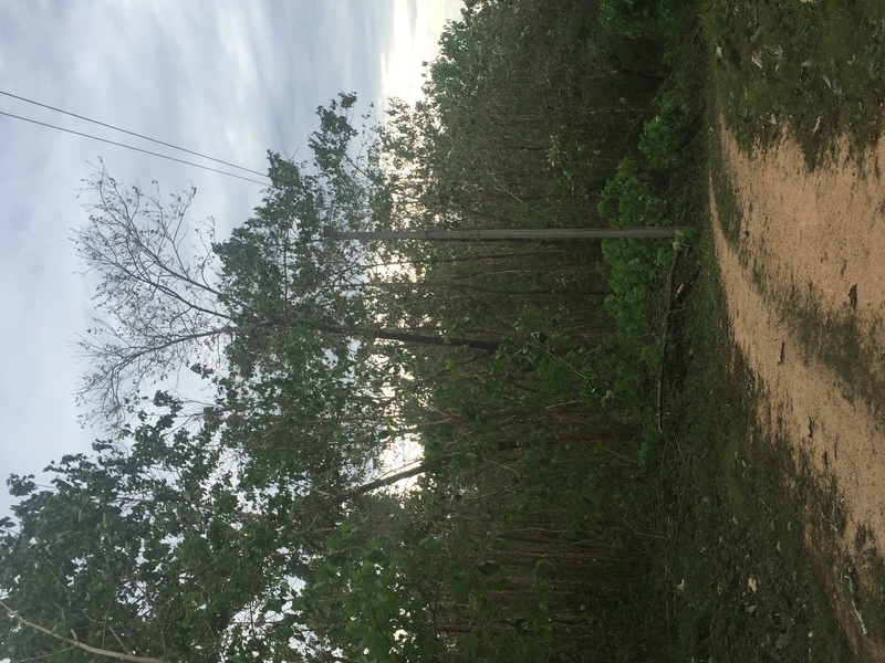 0 bed Land For Sale in Samara, Guanacaste - 1