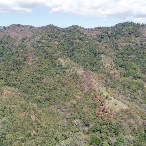 0 bed Land For Sale in PlayaCoyote, Guanacaste - thumb 13