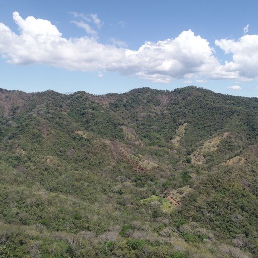 0 bed Land For Sale in PlayaCoyote, Guanacaste - thumb 8