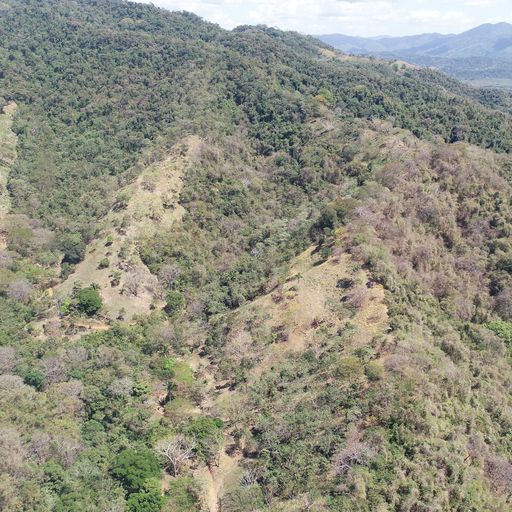 0 bed Land For Sale in PlayaCoyote, Guanacaste - thumb 4