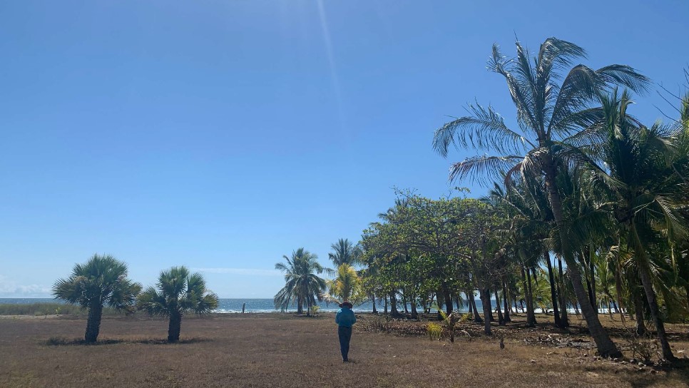 0 bed Land For Sale in PlayaCoyote, Guanacaste - thumb 10