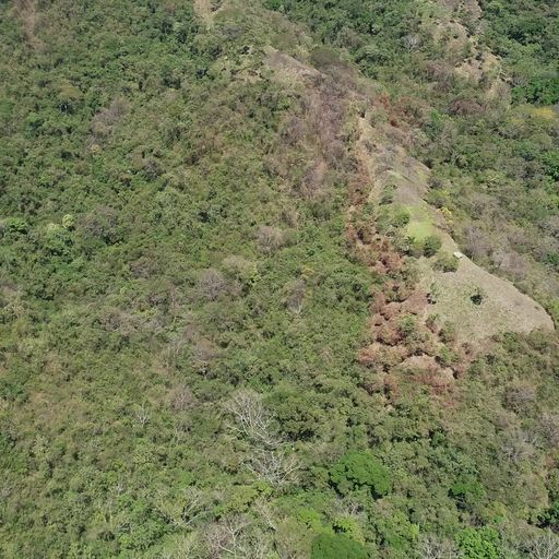 0 bed Land For Sale in PlayaCoyote, Guanacaste - thumb 9