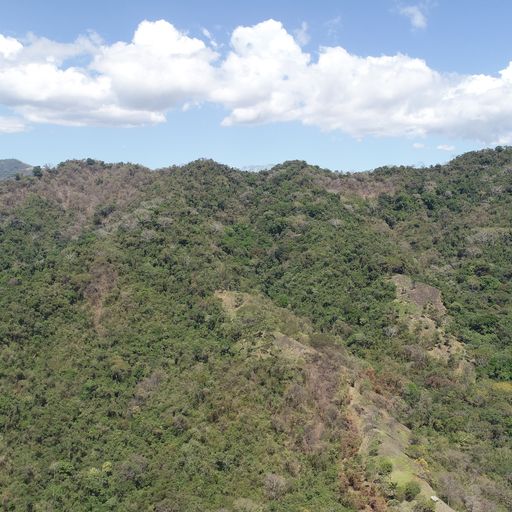 0 bed Land For Sale in PlayaCoyote, Guanacaste - thumb 16