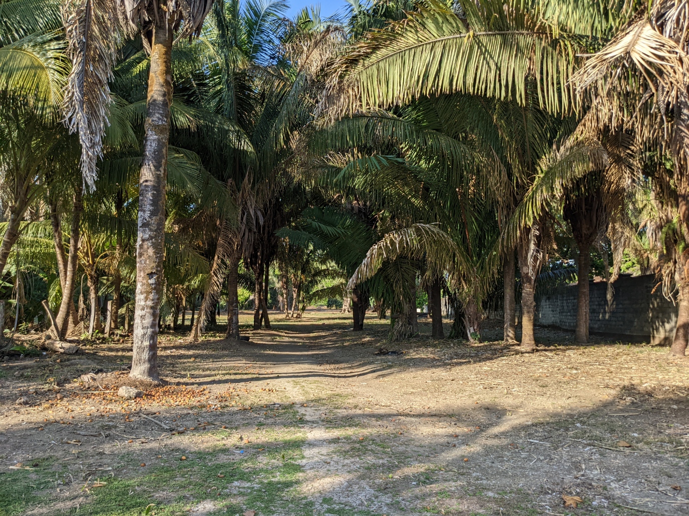 0 bed Land For Sale in Samara, Guanacaste - thumb 7