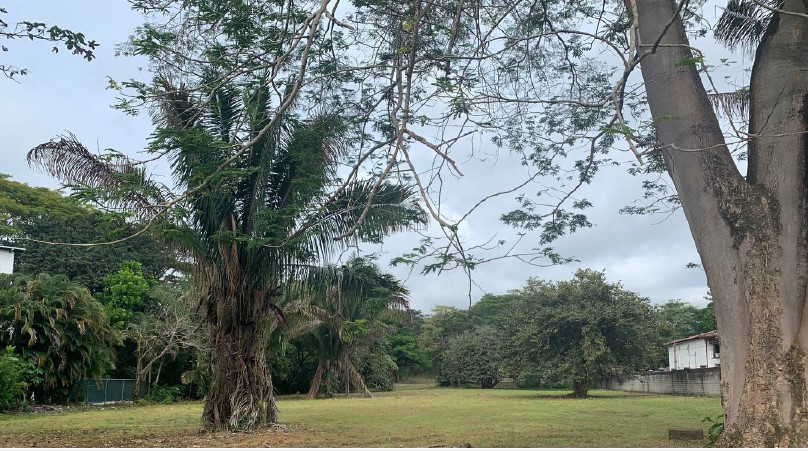 0 bed Land For Sale in Samara, Guanacaste - thumb 12