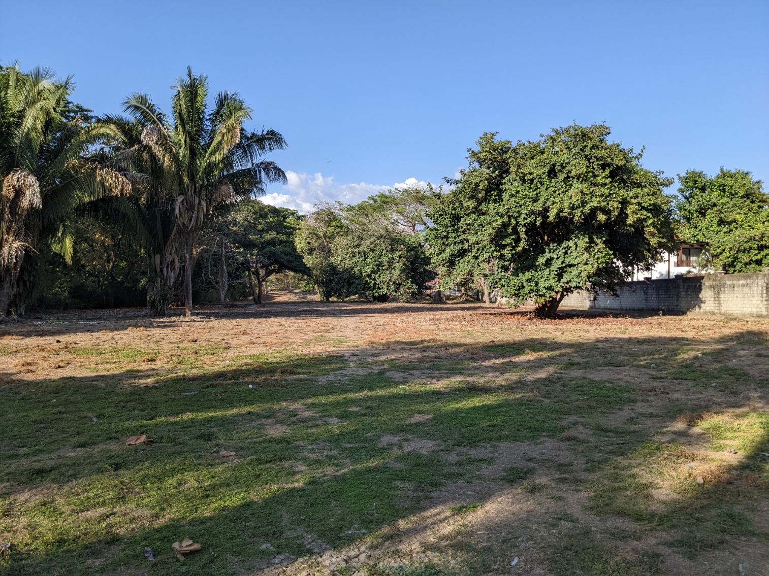 0 bed Land For Sale in Samara, Guanacaste - thumb 8