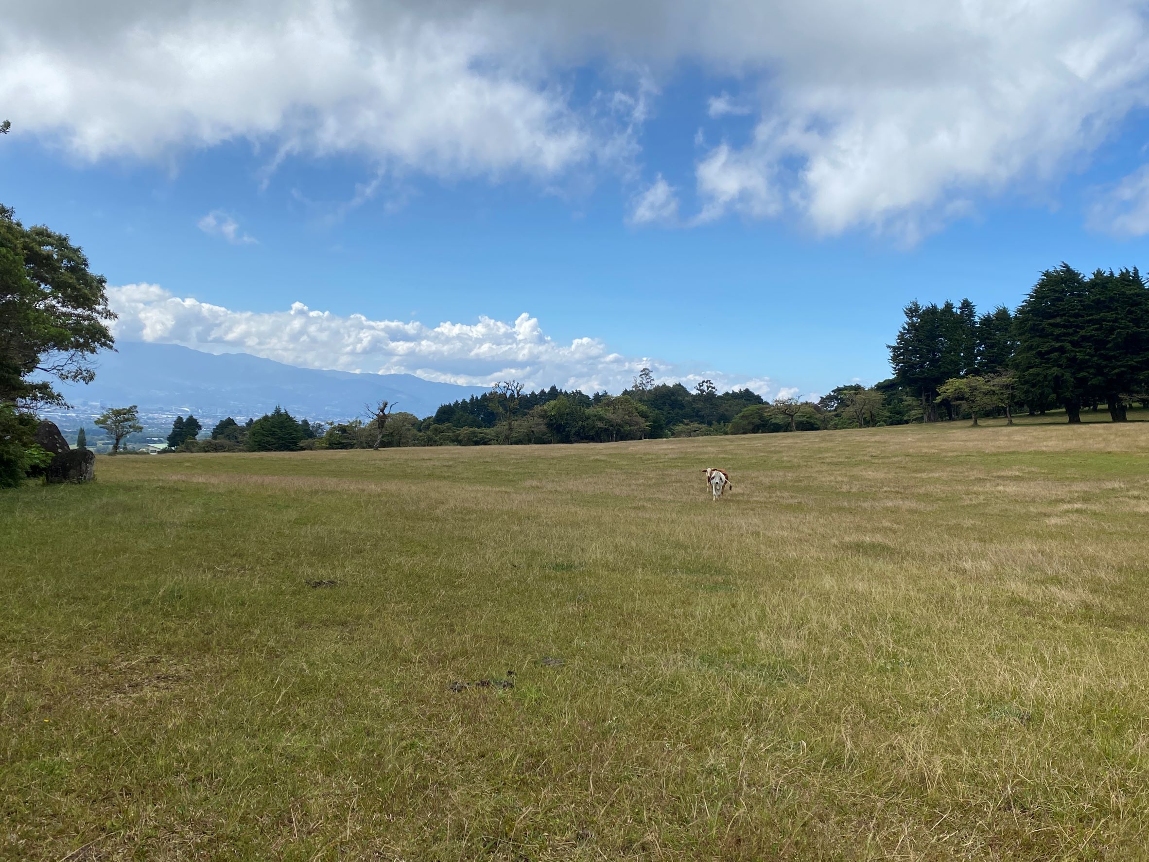 0 bed Land For Sale in Concepcion, Heredia - thumb 5