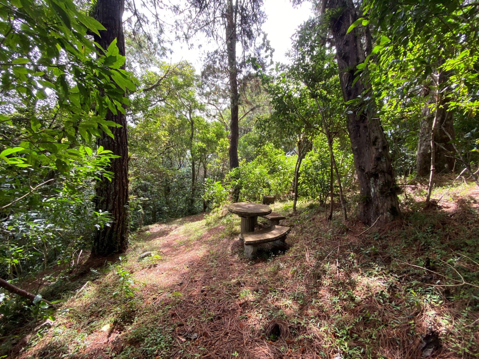 0 bed Land For Sale in Concepcion, Heredia - thumb 9