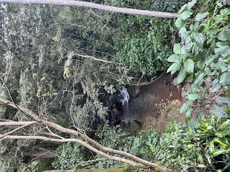 6 bed Commercial For Sale in Atenas, Alajuela - thumb 24