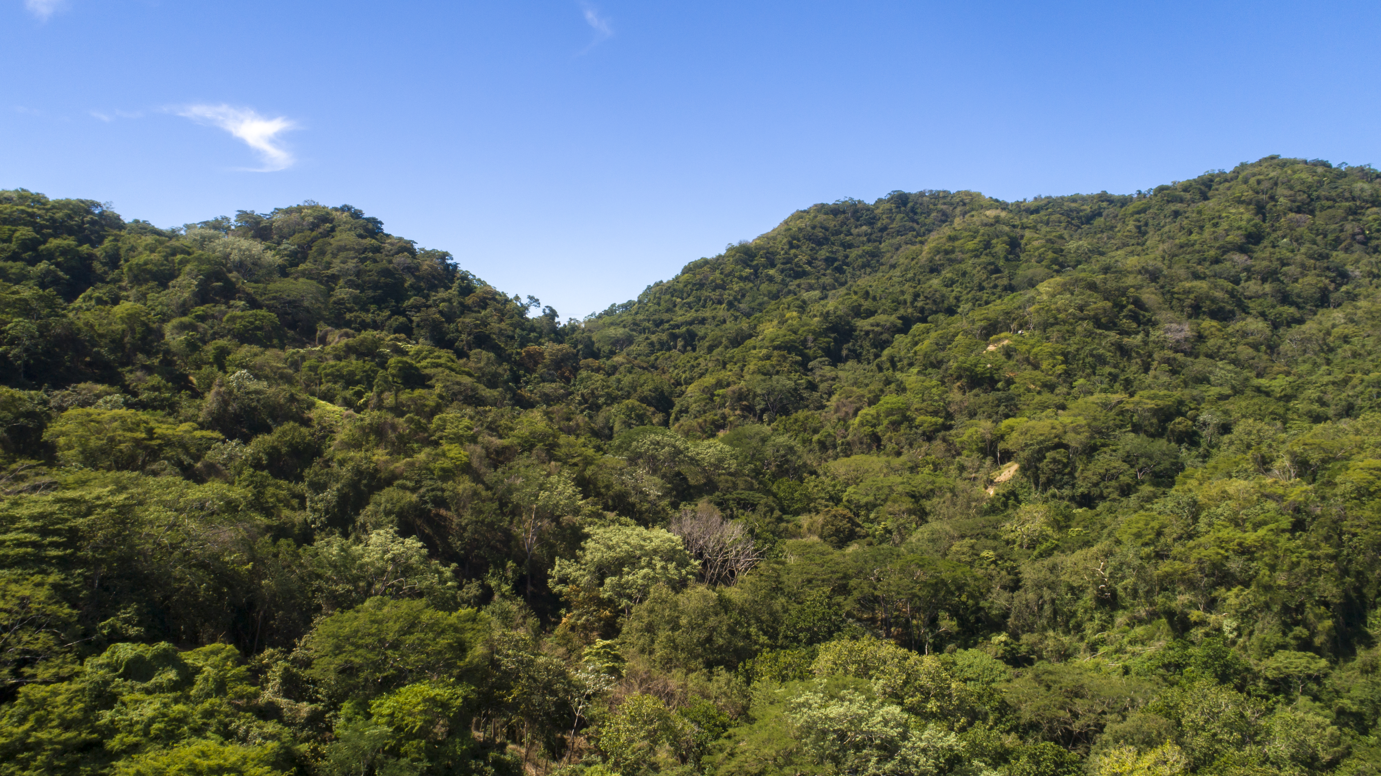 0 bed Land For Sale in Tambor, Puntarenas - thumb 8