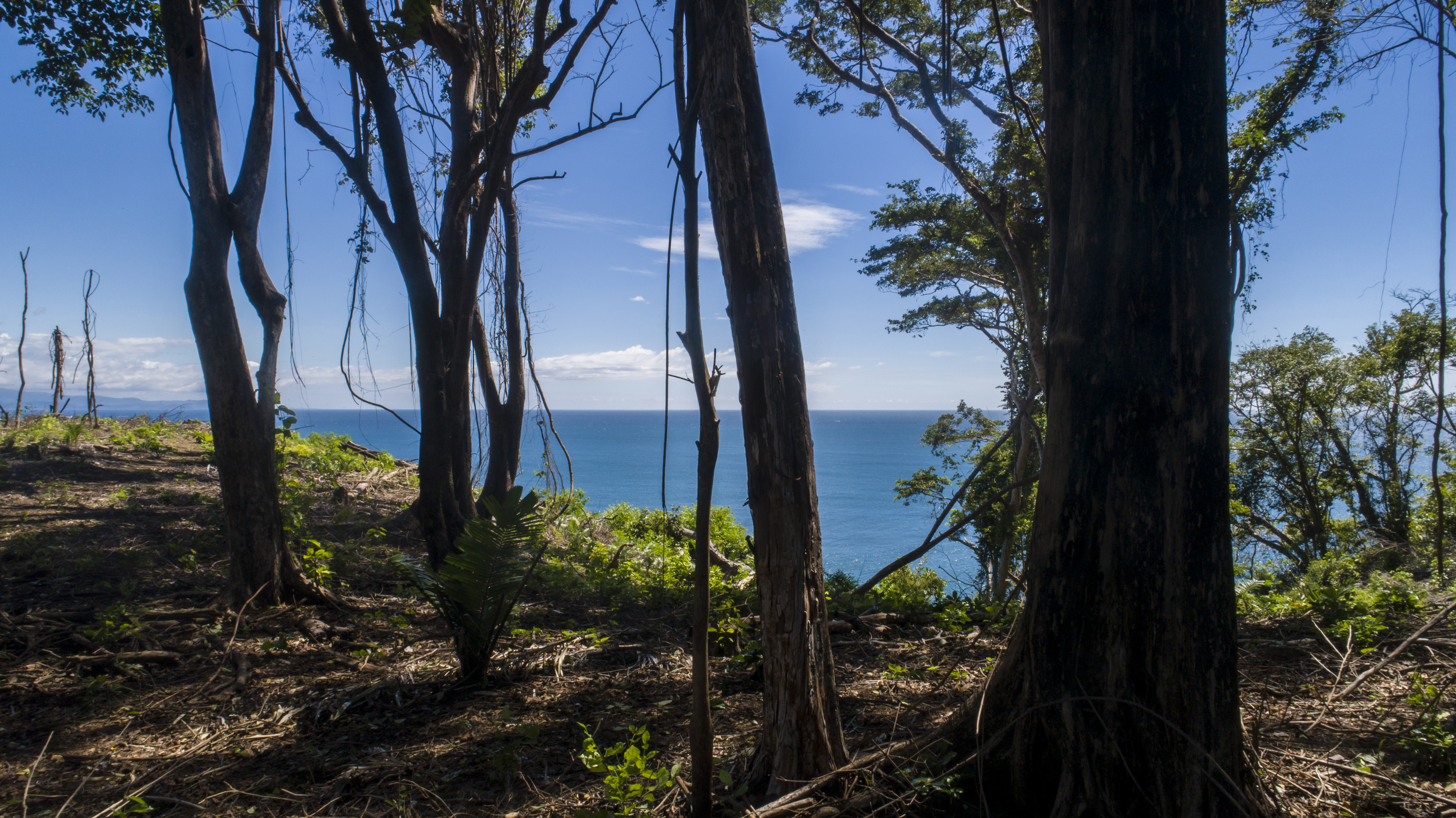 0 bed Land For Sale in Tambor, Puntarenas - thumb 13