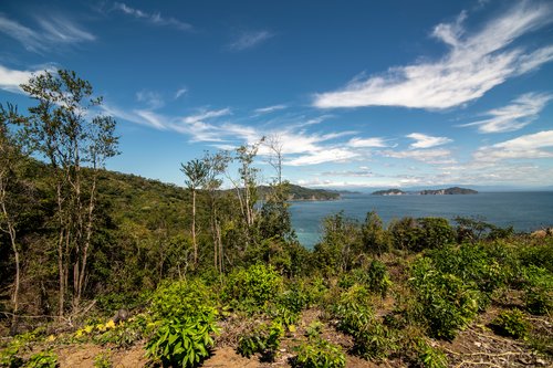 0 bed Land For Sale in Tambor, Puntarenas - thumb 10