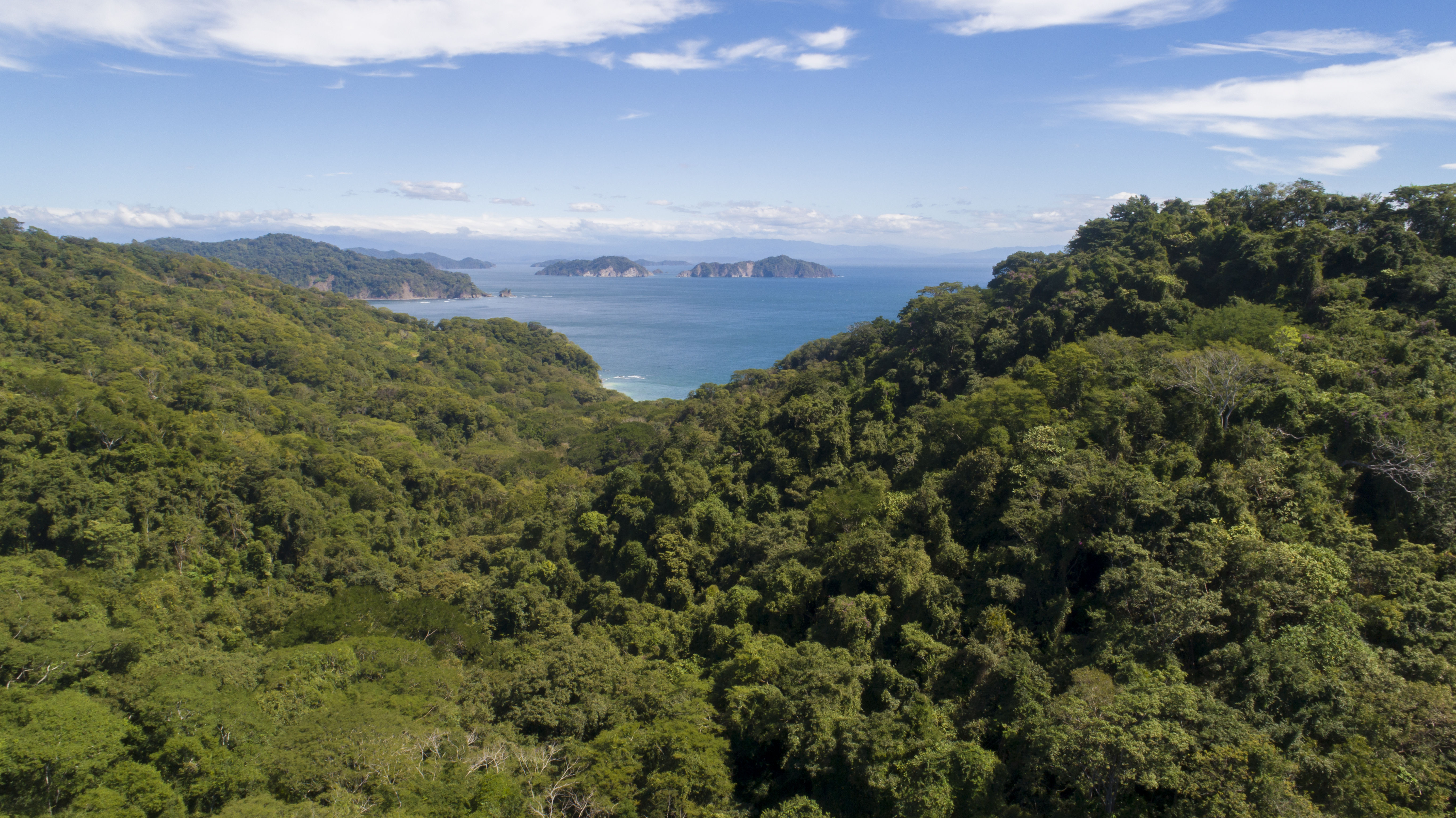 0 bed Land For Sale in Tambor, Puntarenas - thumb 14