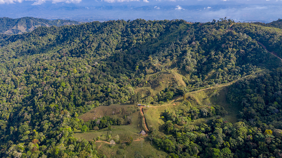 0 bed Land For Sale in Uvita, Puntarenas - thumb 16