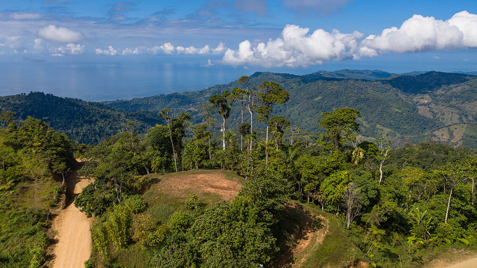 0 bed Land For Sale in Uvita, Puntarenas - thumb 8