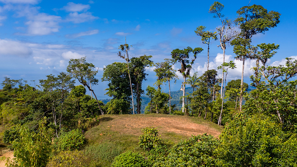 0 bed Land For Sale in Uvita, Puntarenas - thumb 7