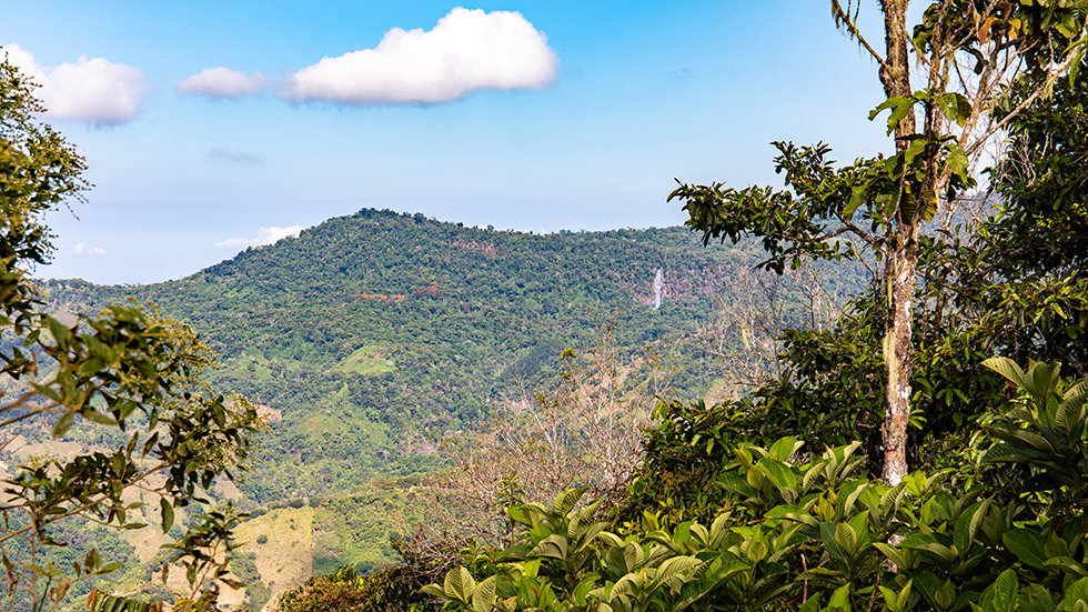 0 bed Land For Sale in Uvita, Puntarenas - thumb 15