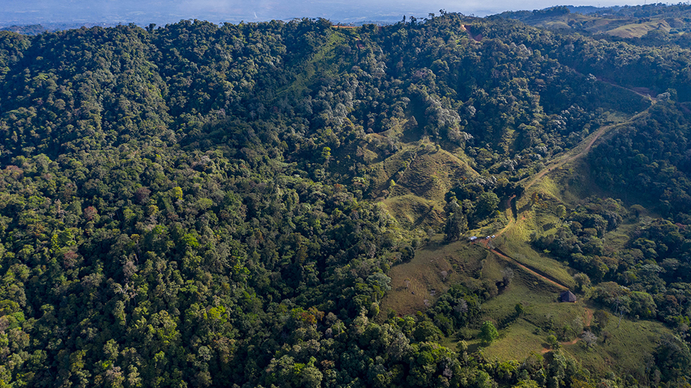 0 bed Land For Sale in Uvita, Puntarenas - thumb 17